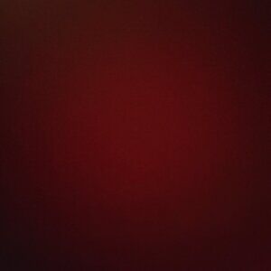 Michael kors black with red roses